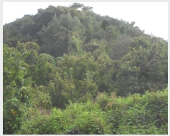  2024Ÿ103430 泲 Ƿɱ ʸ ϸ 66      (Ӿ)