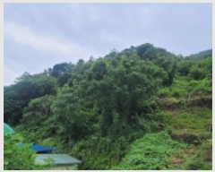  2024Ÿ103430 泲 Ƿɱ ʸ ϸ 687      (Ӿ)