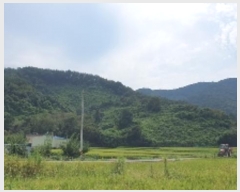  2024Ÿ��104716  ���ð��