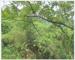  2024Ÿ��104716  ���ð��