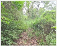  2024Ÿ��104716  ���ð��