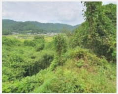  2024Ÿ��104716  ���ð��