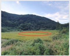  2024Ÿ105313 泲 â   縮 164     (1)