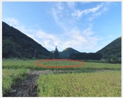  2024Ÿ105313 泲 â   縮 164     (1)