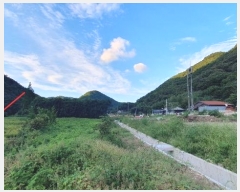  2024Ÿ105313 泲 â   縮 164     (1)