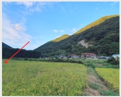  2024Ÿ105313 泲 â   縮 164     (1)