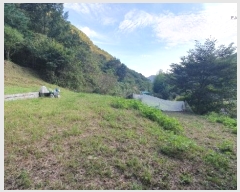  2024Ÿ105313 泲 â   縮 164     (1)