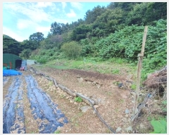  2024Ÿ105313 泲 â   縮 164     (1)