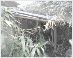  2024Ÿ��106057 �泲 �Ծȱ� �Ծȸ� �ļ��� 1025-2      ����(��)���