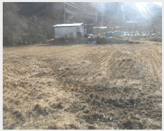  2024Ÿ��106057 �泲 �Ծȱ� �Ծȸ� �ļ��� 1025-2      ����(��)���