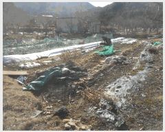  2024Ÿ��106057 �泲 �Ծȱ� �Ծȸ� �ļ��� 1025-2      ����(��)���