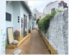  2024Ÿ��106101  ���ð��