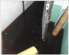  2024Ÿ106255  ٸ󰡰