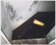  2024Ÿ106255  ٸ󰡰