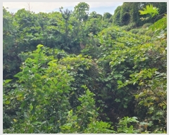  2024Ÿ��106361 �泲 �Ծȱ� ������ ����2�� 85      ���(�󰡽ü�)���