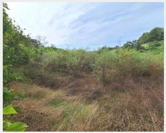  2024Ÿ��106361 �泲 �Ծȱ� ������ ����2�� 85      ���(�󰡽ü�)���