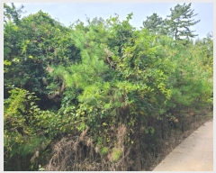  2024Ÿ��106361 �泲 �Ծȱ� ������ ����2�� 85      ���(�󰡽ü�)���