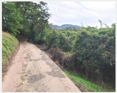  2024Ÿ��106361 �泲 �Ծȱ� ������ ����2�� 85      ���(�󰡽ü�)���