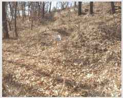  2024Ÿ��106415 �泲 �Ծȱ� ������ ���ܸ� 954      ����(����)���