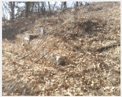  2024Ÿ��106415 �泲 �Ծȱ� ������ ���ܸ� 954      ����(����)���