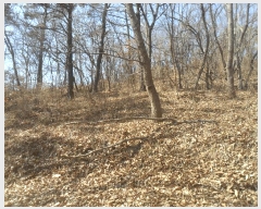  2024Ÿ��106415 �泲 �Ծȱ� ������ ���ܸ� 954      ����(����)���