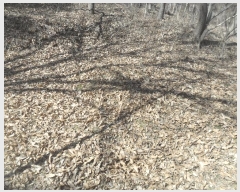  2024Ÿ��106415 �泲 �Ծȱ� ������ ���ܸ� 954      ����(����)���