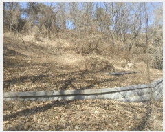  2024Ÿ��106415 �泲 �Ծȱ� ������ ���ܸ� 954      ����(����)���