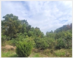  2024Ÿ��106415 �泲 �Ծȱ� ������ ���ܸ� 954      ����(����)���