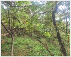  2024Ÿ��106415 �泲 �Ծȱ� ������ ���ܸ� 954      ����(����)���