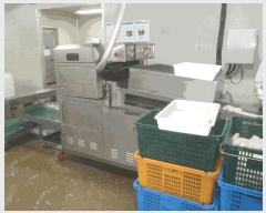  2024Ÿ106514 泲 â    388     