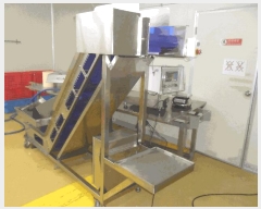  2024Ÿ106514 泲 â    388     