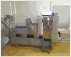  2024Ÿ106514 泲 â    388     