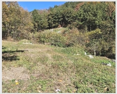  2024Ÿ��106613 �泲 �Ƿɱ� ������ �ΰ 345-4      ����(��1)���