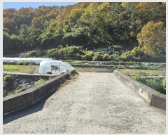  2024Ÿ��106613 �泲 �Ƿɱ� ������ �ΰ 345-4      ����(��1)���