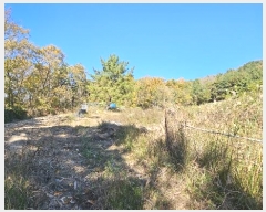  2024Ÿ��106613 �泲 �Ƿɱ� ������ �ΰ 345-4      ����(��1)���