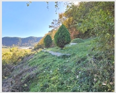  2024Ÿ��106613 �泲 �Ƿɱ� ������ �ΰ 345-4      ����(��1)���