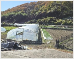  2024Ÿ��106613 �泲 �Ƿɱ� ������ �ΰ 345-4      ����(��1)���