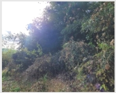  2024Ÿ��106613 �泲 �Ƿɱ� ������ �ΰ 345-4      ����(��1)���