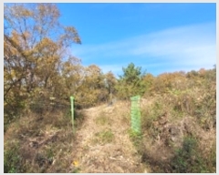  2024Ÿ��106613 �泲 �Ƿɱ� ������ �ΰ 345-4      ����(��1)���