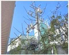  2024Ÿ106668 泲 Ծȱ  ܸ 1563      