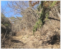  2024Ÿ��107005 �泲 â���� ����ȸ���� ������ ��踮 ��109     ����(�Ӿ�)���