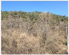  2024Ÿ��107005 �泲 â���� ����ȸ���� ������ ��踮 ��109     ����(�Ӿ�)���