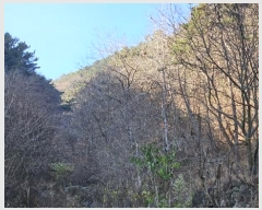  2024Ÿ��107005 �泲 â���� ����ȸ���� ������ ��踮 ��109     ����(�Ӿ�)���