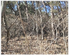  2024Ÿ��107005 �泲 â���� ����ȸ���� ������ ��踮 ��109     ����(�Ӿ�)���