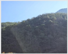  2024Ÿ��107005 �泲 â���� ����ȸ���� ������ ��踮 ��109     ����(�Ӿ�)���