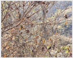  2024Ÿ��107005 �泲 â���� ����ȸ���� ������ ��踮 ��109     ����(�Ӿ�)���