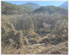  2024Ÿ��107005 �泲 â���� ����ȸ���� ������ ��踮 ��109     ����(�Ӿ�)���