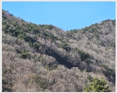  2024Ÿ107364 泲 â    364     (Ӿ)