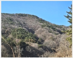  2024Ÿ107364 泲 â    364     (Ӿ)