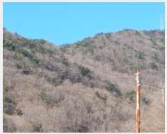  2024Ÿ107364 泲 â    364     (Ӿ)